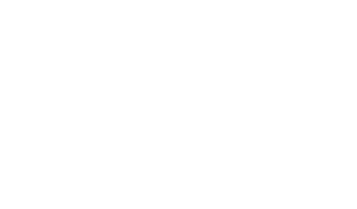 DSS Logo